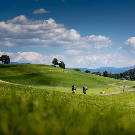 Gartenloft An Der Mur Murau Esterno foto
