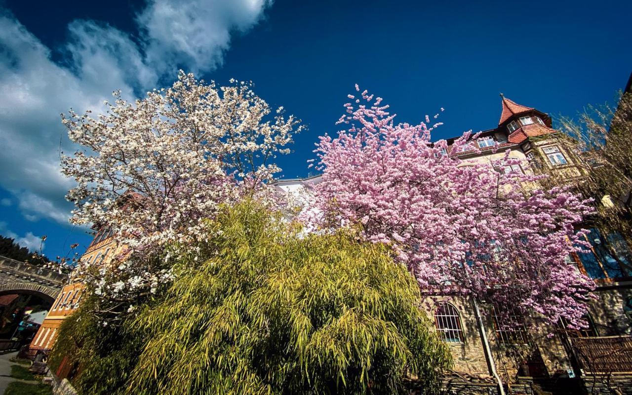 Gartenloft An Der Mur Murau Esterno foto